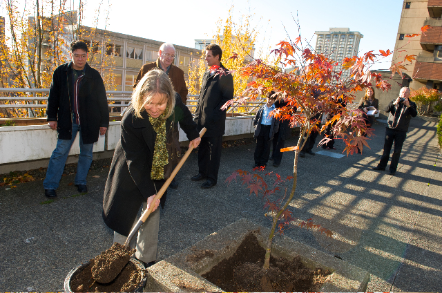 tree plantinc ceremony